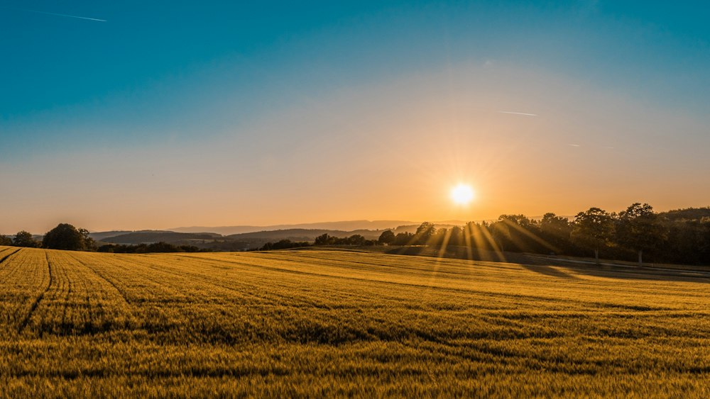 Terrain au milieu de la nature